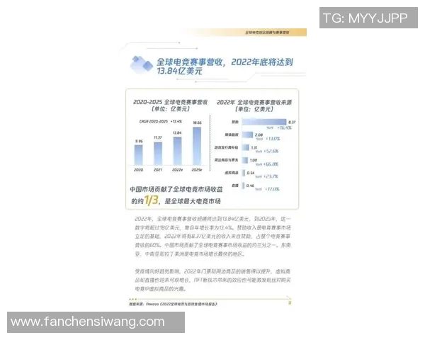 杭州网球队的整体压制策略解析与深度剖析网球竞技的成功秘诀