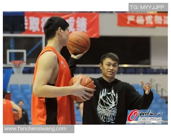 陈磊独家分享排球心得与技巧助你提升球技的全面指南