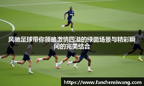 风驰足球带你领略激情四溢的绿茵场景与精彩瞬间的完美结合